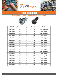 Vis tôle Tête cylindrique TC 3.5X38 TORX T10 Bichromaté 2