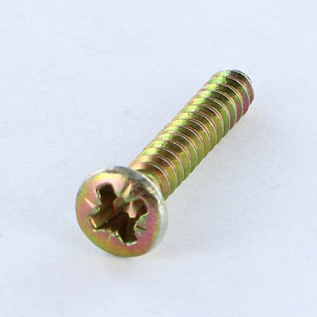 1 x Vis tôle Tête fraisée bombée TFB Pozi 3.5X25 Bichromaté