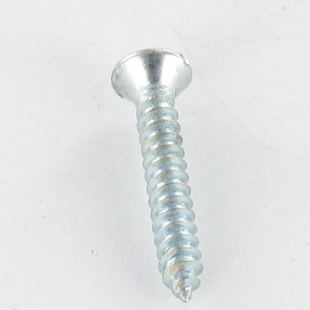 1 x Vis tôle Tête fraisée bombée TFB Fendue 4.8X25 Acier zingué