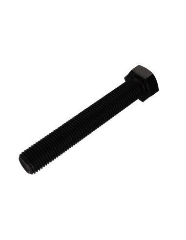 1 x Vis métaux Tête hexagonale TH M27X170...