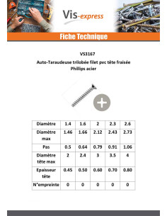 Vis autotaraudeuse Pour Plastique Tête fraisée Phillips... 2