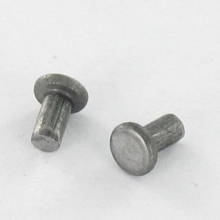 1 x Rivet à frapper Tête plate 3X5.5 Diamètre de tête: 5.5 EP1.3 Acier brut