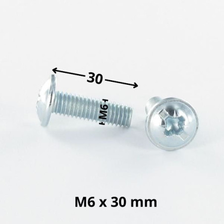 1 x Vis Poelier POZI et fendu M6X30 Acier zingué