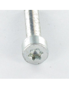 Vis autotaraudeuse Tête cylindrique TC M6X50 TORX T30... 2