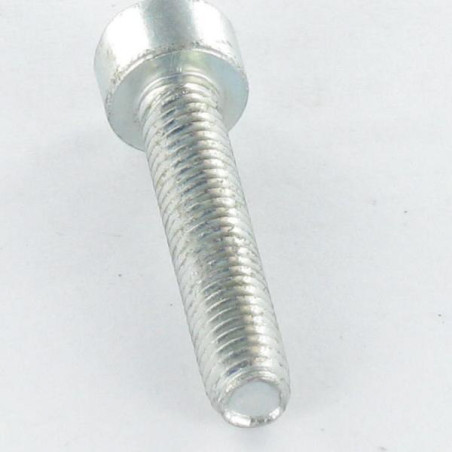 1 x Vis autotaraudeuse Tête cylindrique TC M6X50 TORX T30 Acier zingué