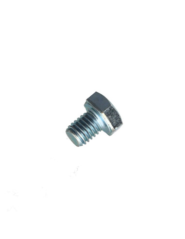 1 x Vis métaux Tête hexagonale TH M8X10 Classe...