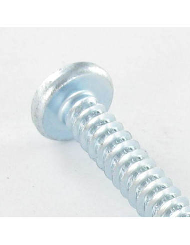 1 x Vis tôle tête cylindrique bombée large...