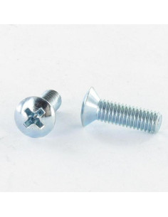 Vis métaux Tête fraisée bombée TFB Pozi M6X30 Classe 8.8...