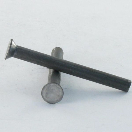 1 x Rivet à frapper Tête fraisée 5X19 Diamètre de tête: 8 Acier brut