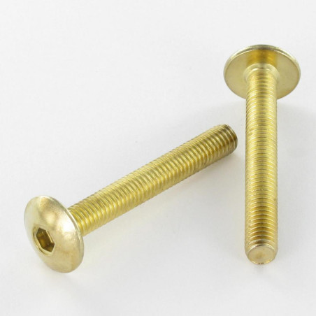 1 x Vis Poelier M6X25 Clé de 4 HC4 Acier laitonne