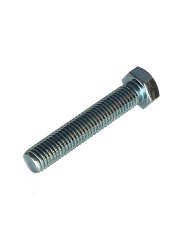 1 x Vis métaux Tête hexagonale TH M12X75 Classe...