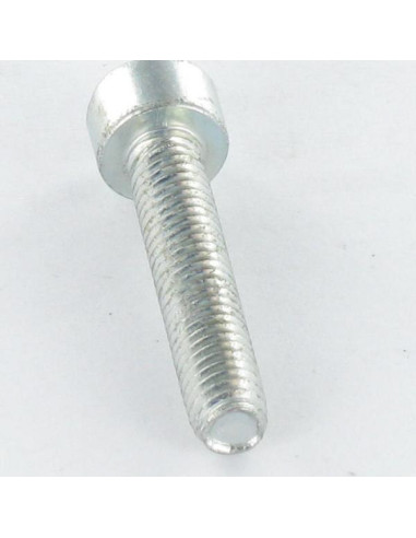 1 x Vis autotaraudeuse Tête cylindrique TC...