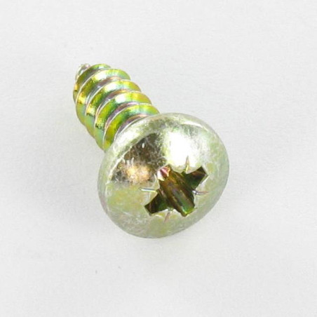 1 x Vis tôle tête cylindrique bombée large Pozi 4.2X25 Bichromaté