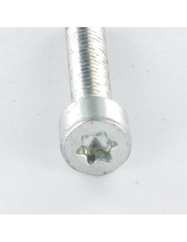 1 x Vis autotaraudeuse Tête cylindrique TC...
