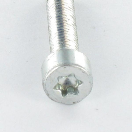 1 x Vis autotaraudeuse Tête cylindrique TC M5X20 TORX T25 Acier zingué