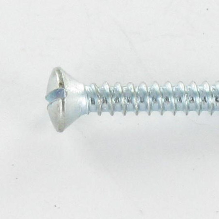 1 x Vis tôle Tête fraisée bombée TFB Fendue 4.2X40 Acier zingué