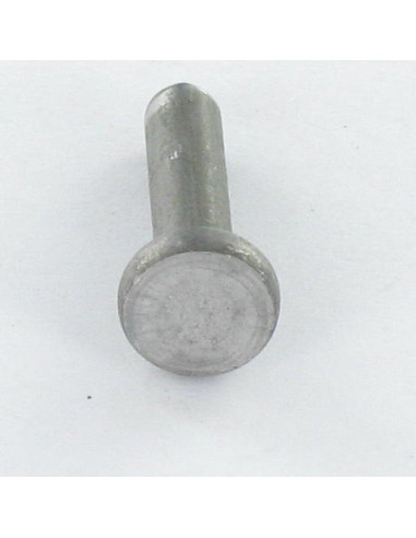 1 x Rivet à frapper Tête plate 6X20 ALUA5