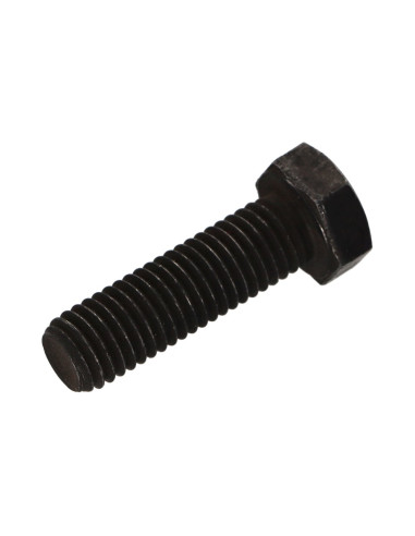 1 x Vis métaux Tête hexagonale TH M12X40 Classe...