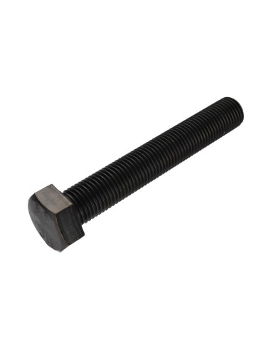 1 x Vis métaux Tête hexagonale TH M30X160...