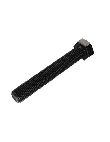 1 x Vis métaux Tête hexagonale TH M30X160...