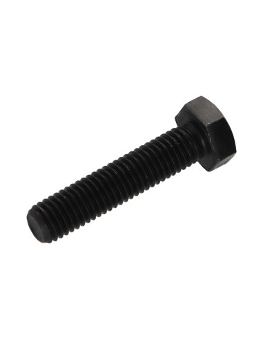 1 x Vis métaux Tête hexagonale TH M8X55 Classe...