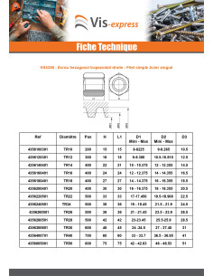 Ecrou hexagonale SKM Tête ronde TR 10X3 Trapézoidale... 2