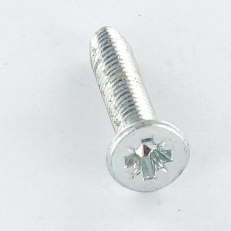 1 x Vis autotaraudeuse Tête fraisée M5X20 Pozi N°2 Acier zingué