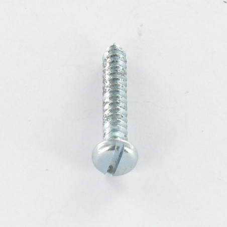 1 x Vis tôle Tête cylindrique TC Fendue 2.9X13 Acier zingué