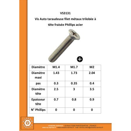1 x Vis autotaraudeuse Filet Métaux Tête fraisée Phillips Acier zingué 2X10 microvis