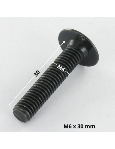 1 x Vis Poelier M6X30 Clé de 4 HC4 Acier zingué...