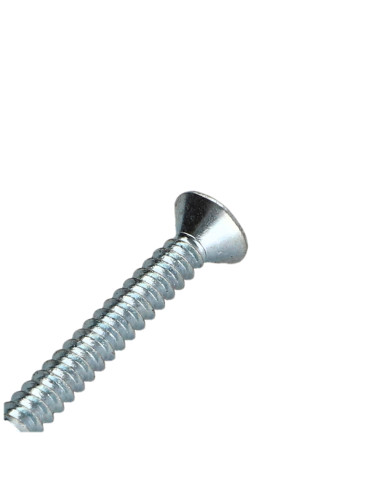 1 x Vis tôle Tête fraisée TORX T25 4.8X25 Acier...