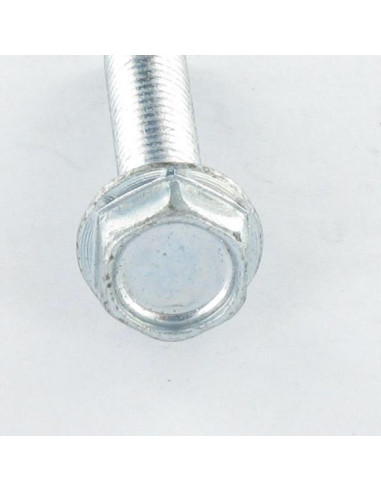 1 x Vis autotaraudeuse Tête hexagonale TH...