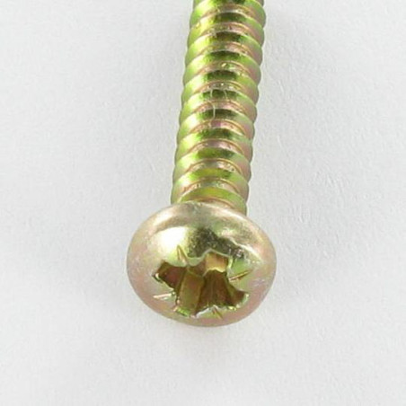 1 x Vis tôle tête cylindrique bombée large Pozi 2.9X9.5 Bichromaté Sans pointe