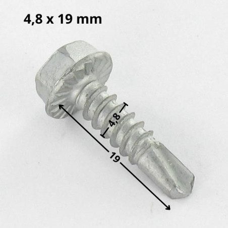 1 x Vis autoperceuse Tête hexagonale TH 4.8X19 Filet tôle ACIGEOM500A