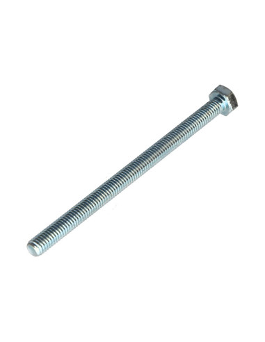 1 x Vis métaux Tête hexagonale TH M6X110 Classe...