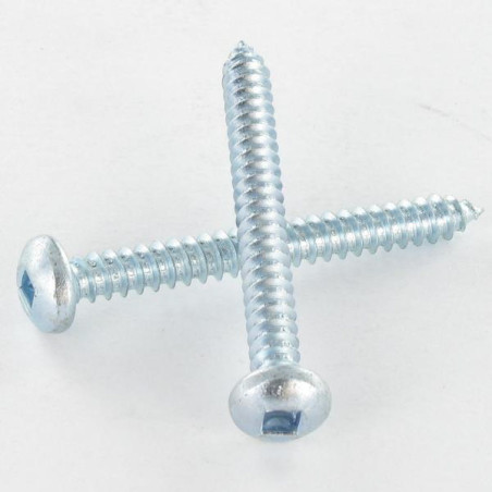 1 x Vis tôle tête cylindrique bombée large Carré 5.5X50 Acier zingué Empreinte carré 3