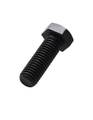 1 x Vis métaux Tête hexagonale TH M12X30 Classe...