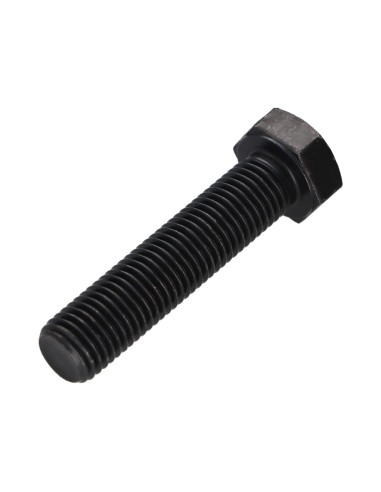1 x Vis métaux Tête hexagonale TH M20X80 Classe...