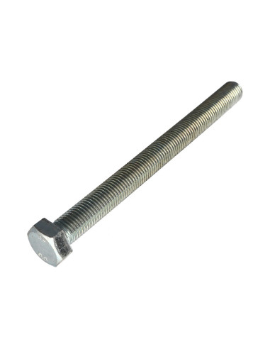 1 x Vis métaux Tête hexagonale TH M20X200...