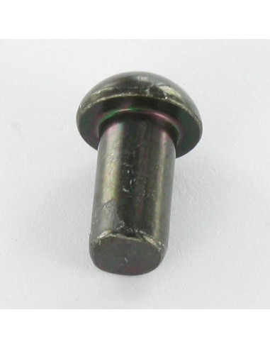 1 x Rivet à frapper Tête ronde TR 6X25 Acier...