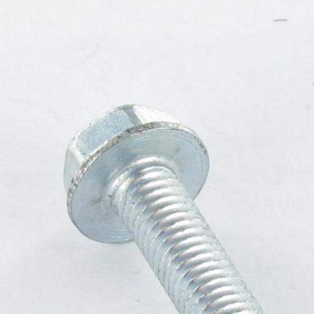 1 x Vis autotaraudeuse Tête hexagonale TH Embase collerette Lisse M8X12 Acier zingué