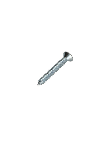 1 x Vis tôle Tête fraisée TORX T30 6.3X38 Acier...