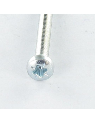 1 x Vis autotaraudeuse tête cylindrique bombée...