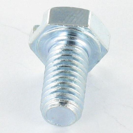 1 x Vis métaux Tête hexagonale TH M6X8 Fendue Acier zingué