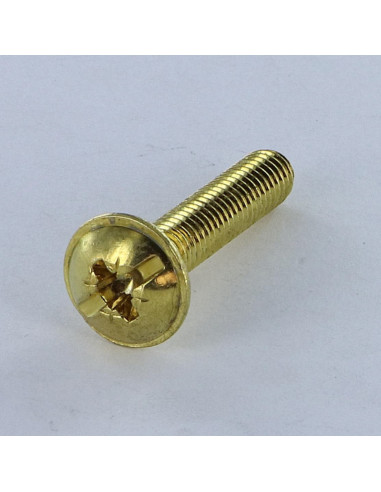 1 x Vis Poelier POZI et fendu M6X14 Acier laitonne