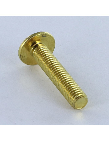 1 x Vis Poelier POZI et fendu M6X14 Acier laitonne