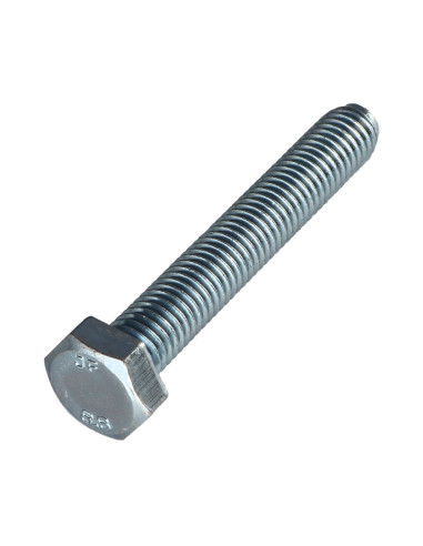 1 x Vis métaux Tête hexagonale TH M10X80 Classe...