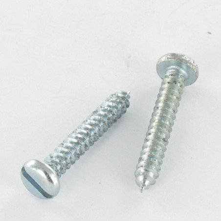1 x Vis tôle Tête cylindrique TC Fendue 3.9X19 Acier zingué
