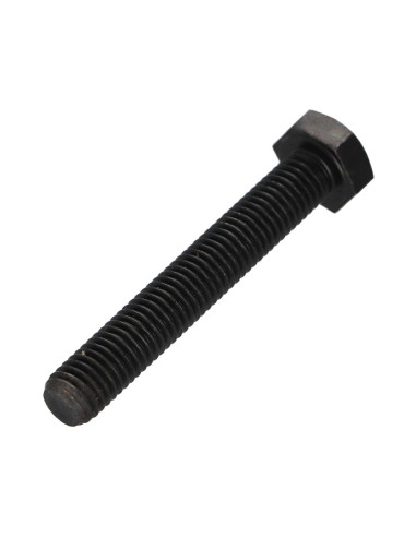 1 x Vis métaux Tête hexagonale TH M10X70 Classe...