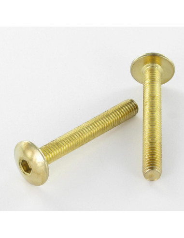 1 x Vis Poelier M6X55 Clé de 4 HC4 Acier laitonne